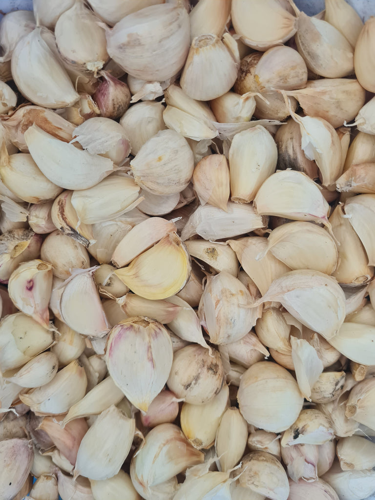 Elephant  Garlic – Bulk 1kg