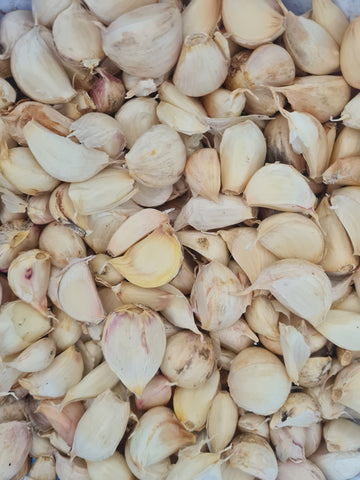 Elephant  Garlic – Bulk 1kg