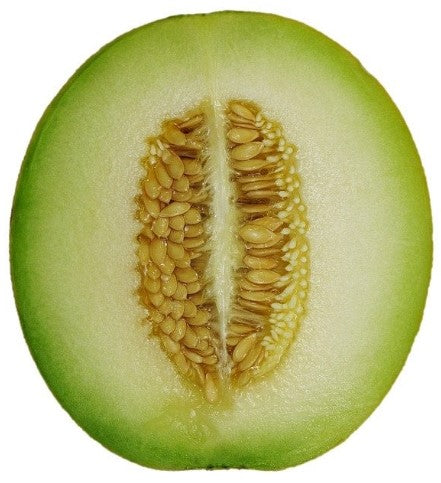 Honeydew Green Melon – Glen Seeds