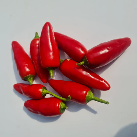 African Birds Eye Long Chili