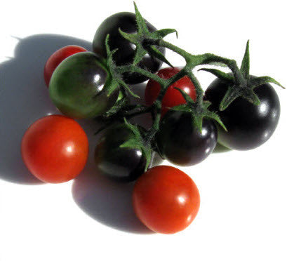 Dancing In the rain Tomato – Glen Seeds