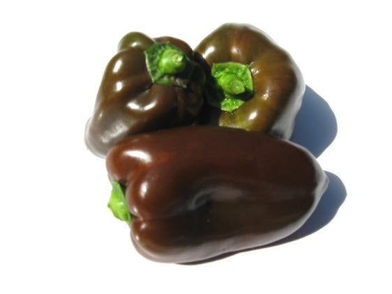 Chocolate bell pepper deals