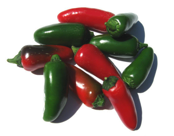 Jalapeno Standard Chilli