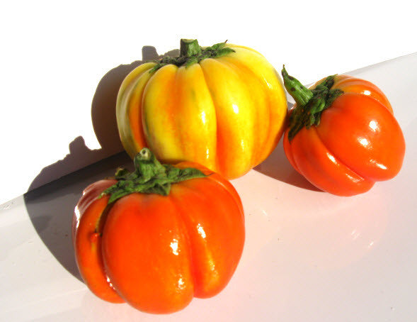 Aubergine du Burkina Faso Eggplant