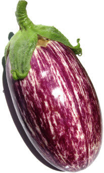 Graines D'aubergine Listada De Gandia - Lot De 8 Graines - Variété Décorative Et Comestible à Rayures - Pour Potager
