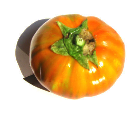 Turkish Orange Eggplant