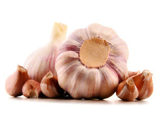 Egyptian Pink Garlic