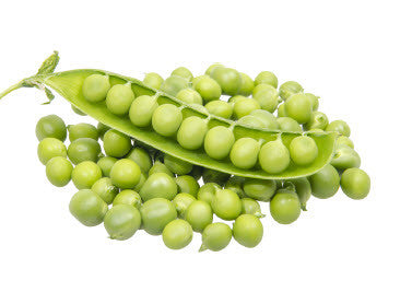 Tall Telephone Peas