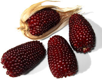 Strawberry Popcorn – Glen Seeds