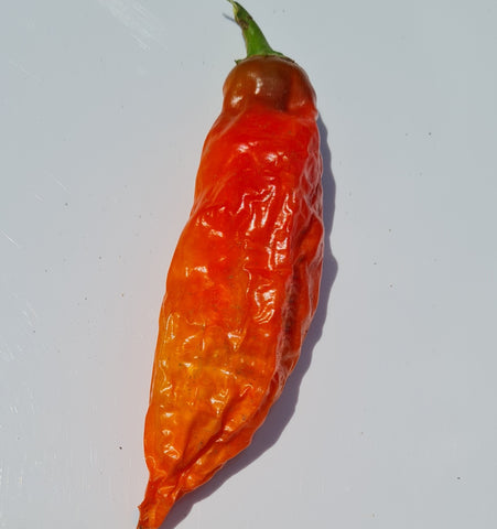 Aji Norteno Chili