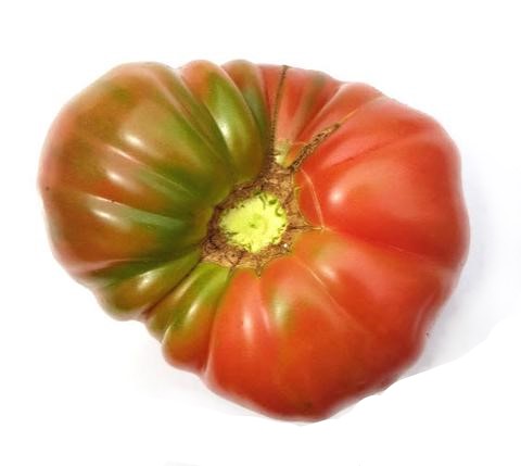 Brandywine Pink DF Tomato – Glen Seeds