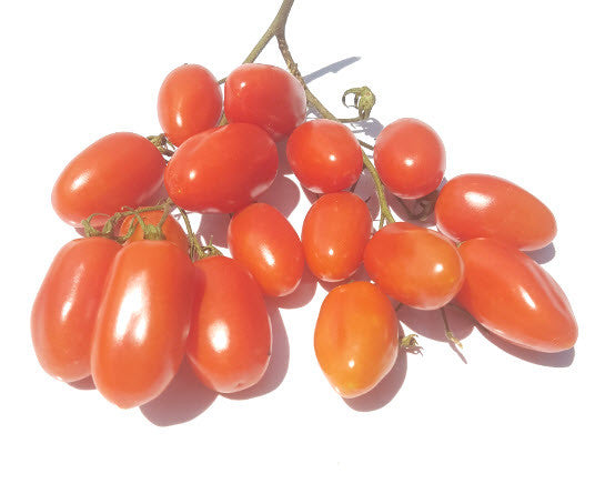 Red Pearl Tomato – Glen Seeds