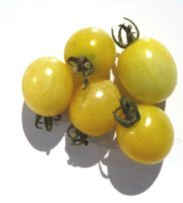 Sweetie Tomato