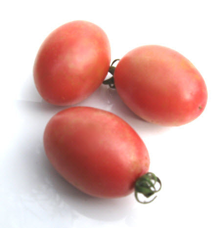 Thai Pink Egg Tomato