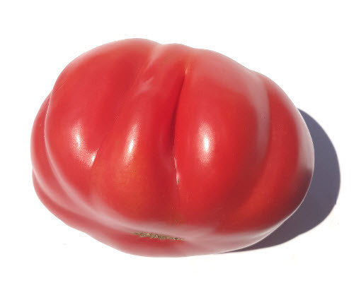 Zapotek Pleated Tomato – Glen Seeds