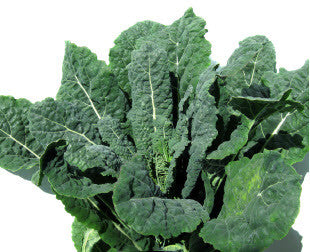 Black Palm Kale