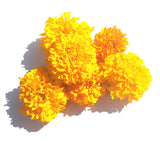 Marigold: Large Mixed
