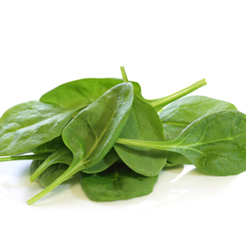 Matador Spinach