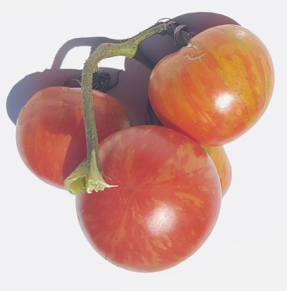 tomato ZZ2 JAM TOMATOES 6KG