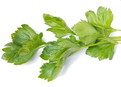 Herb Seeds