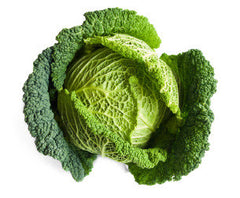 Cabbage