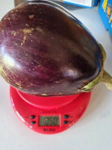Aswad Eggplant