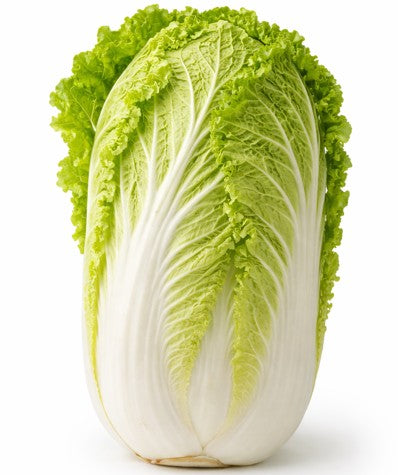 Chinese Cabbage