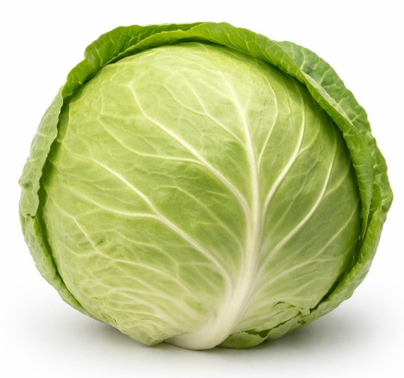 Drumhead Cabbage