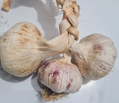 Market Pink Garlic