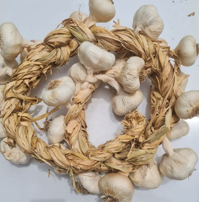 Market White Garlic