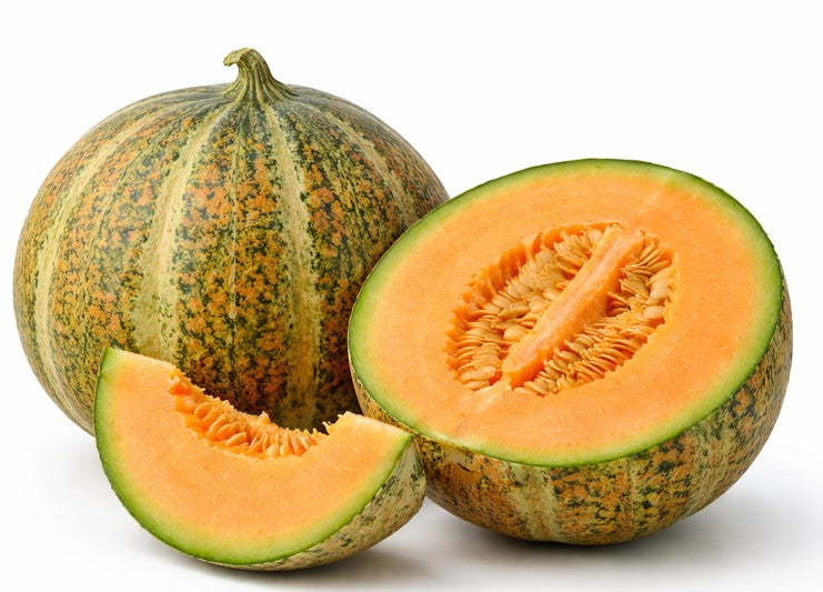 Petit Gris de Rennes Melon