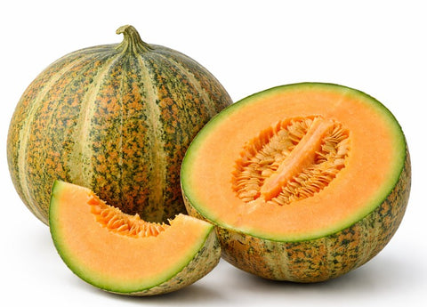 Petit Gris de Rennes Melon