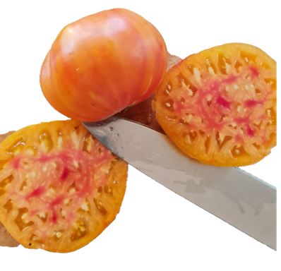 Striped German Tomato