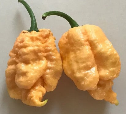 Carolina Reaper Peach Chili