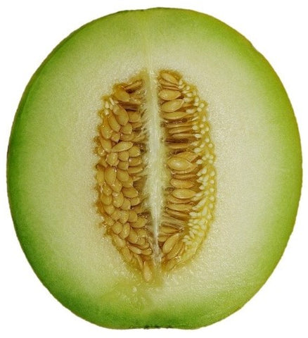 Honeydew Green Melon