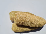 Gunther’s Loofah