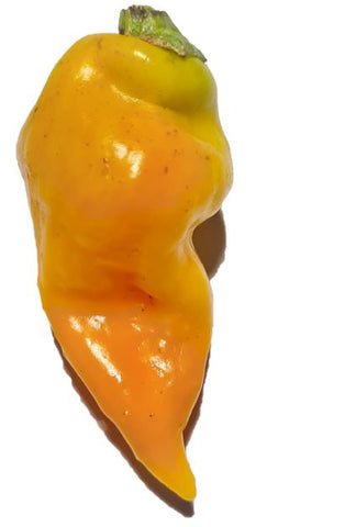 Yellow Monkey Face Chili