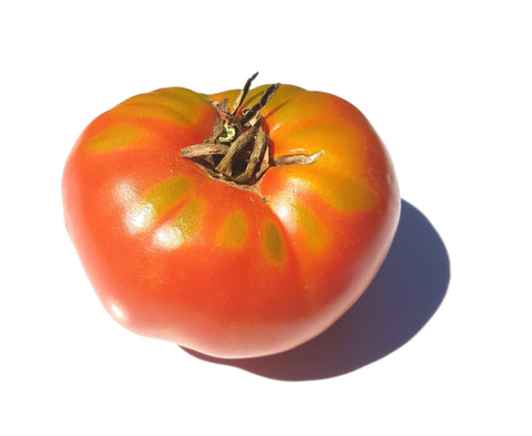 Brandywine Purple Tomato