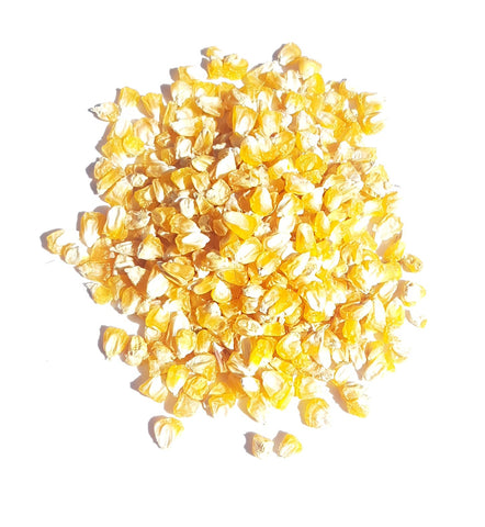 True Gold Sweet Corn