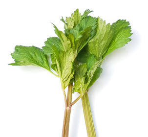 Celery Peppermint Stick Herb