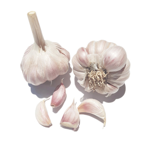 Ashok Pink Garlic