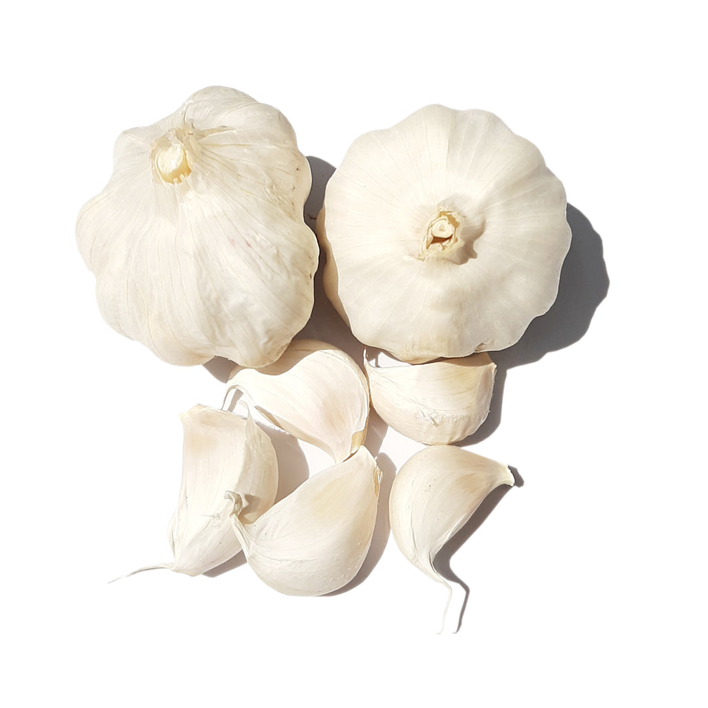 Ashok White Garlic