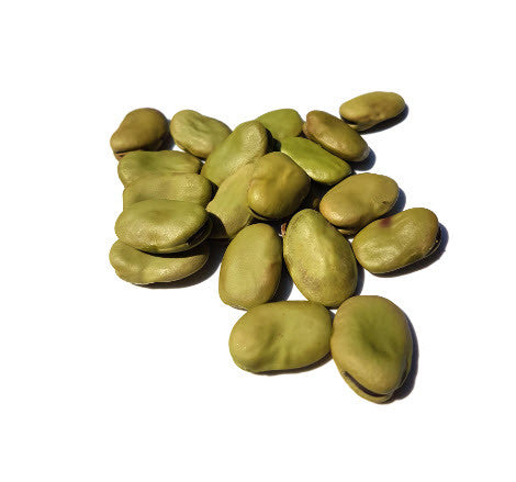 Fava Peruvian Emerald Bean
