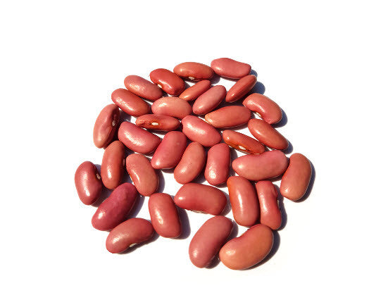 Light Red Kidney Bean
