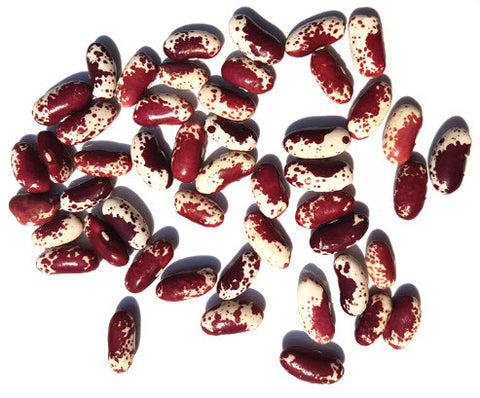 Trout Bean