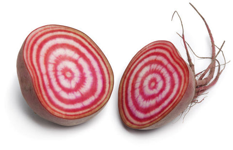 Chioggia Beet