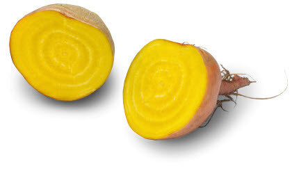 Golden Beet