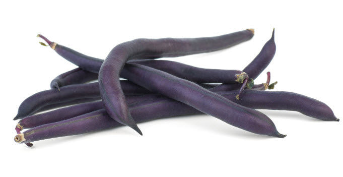 French Purple Bean