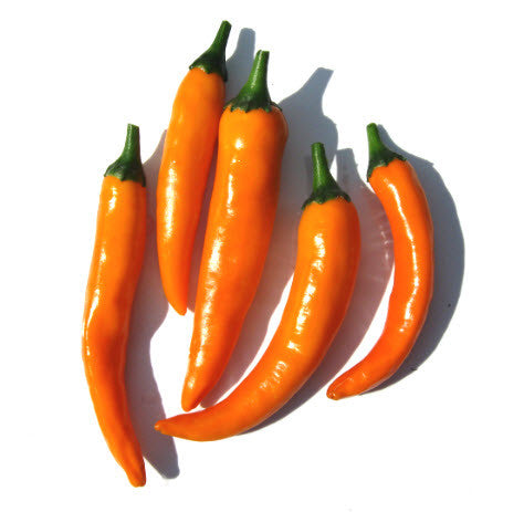 Cayenne Golden Chilli