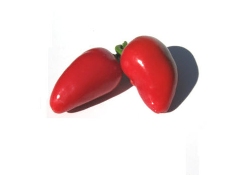 Jalapeno M Chilli